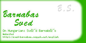 barnabas sved business card